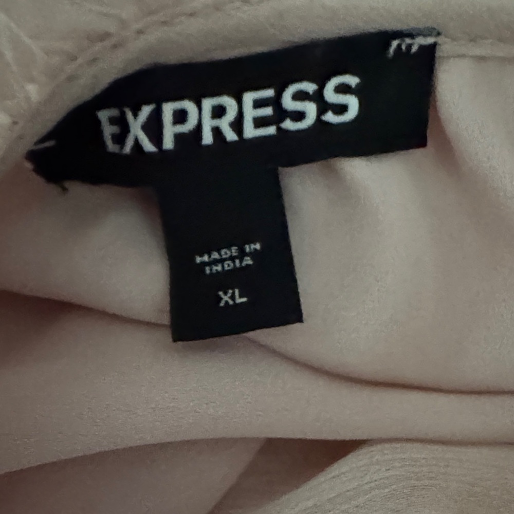 Express Light Pink Ruffle Blouse - Picture 5 of 5
